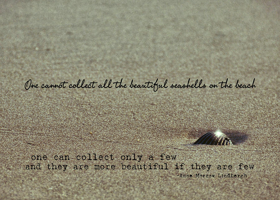 PRETTY SEASHELL quote Photograph by JAMART Photography