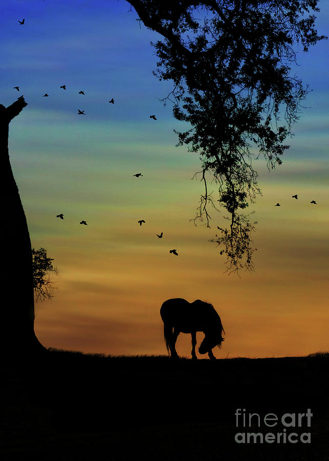 Pretty Whimsical Horse and Birds in Southwestern Sunrise Photograph by Stephanie Laird