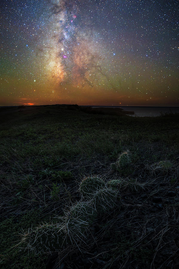 Pricked  Photograph by Aaron J Groen