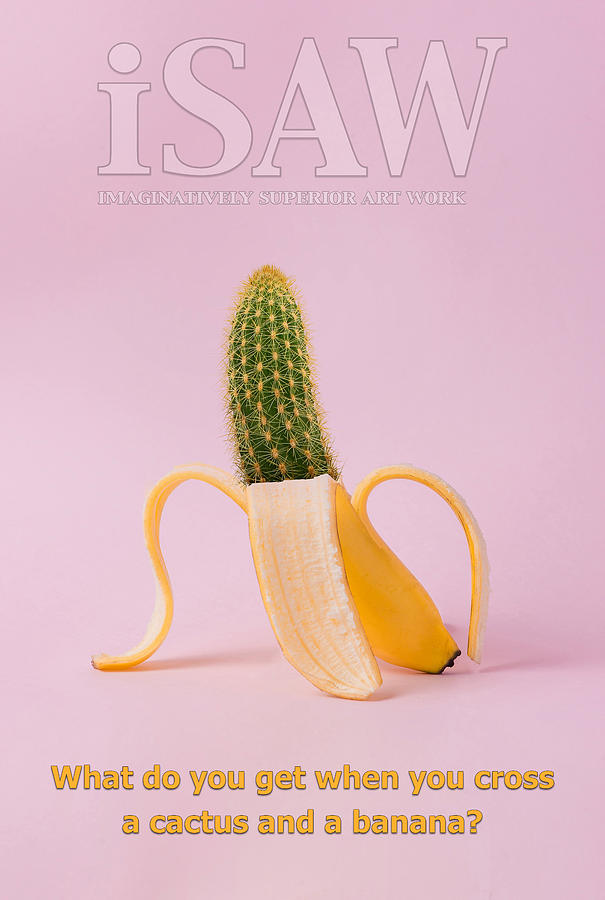 Prickly Banana by ISAW Company Prickly Banana by ISAW Company