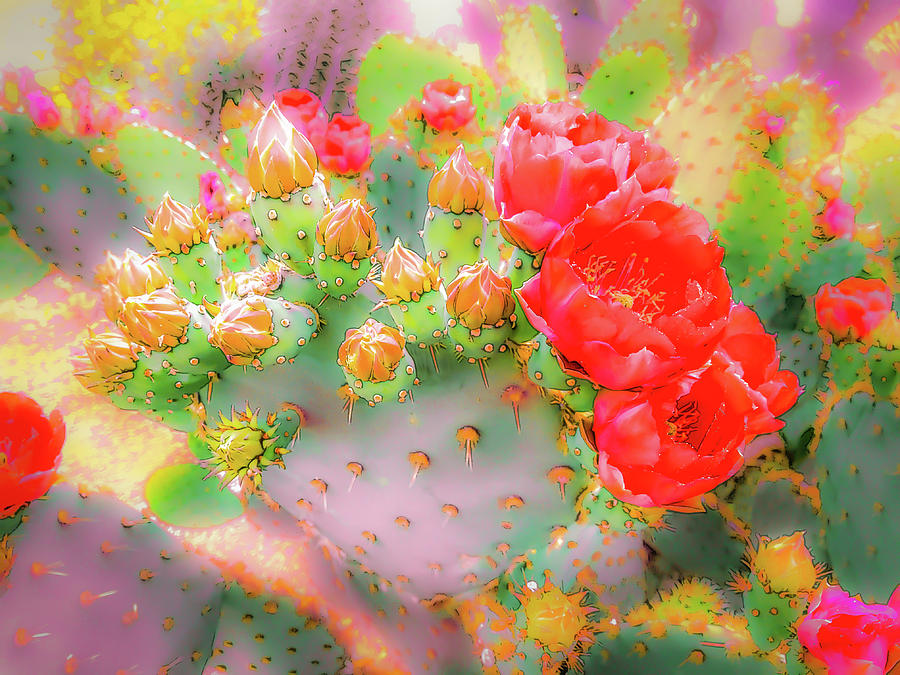 Prickly Pear Buds and Blooms by Veronika Countryman Prickly Pear Buds and Blooms by Veronika Countryman