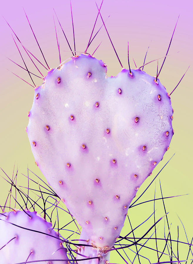 Prickly Pear Cactus Heart 1 by Veronika Countryman Prickly Pear Cactus Heart 1 by Veronika Countryman