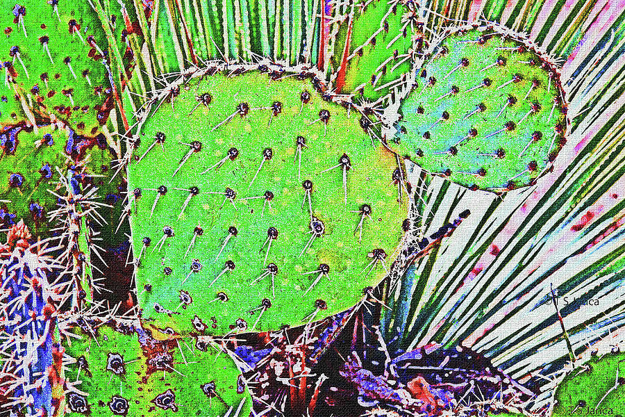 Prickly Pear Cactus Turns A New Leaf Digital Art by Tom Janca