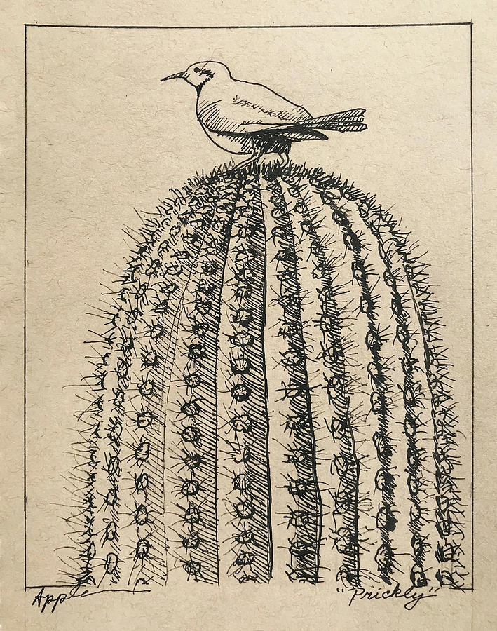 Prickly View - on the top Drawing by Linda Apple