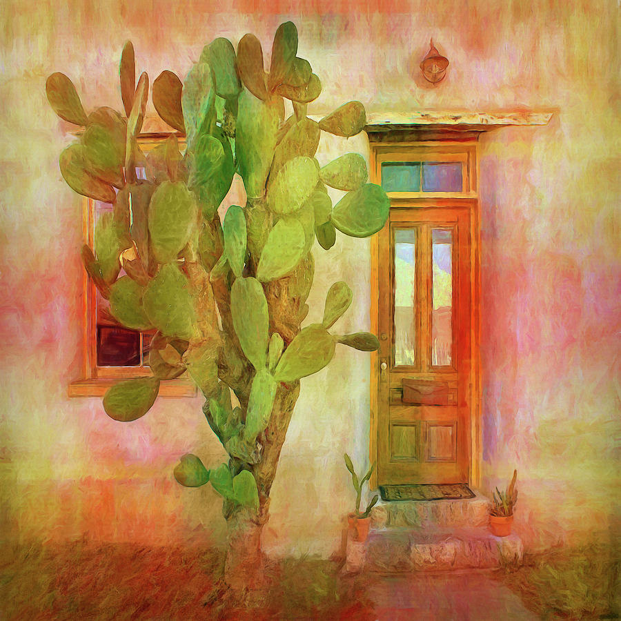 Prickly Welcome - Cactus - Door Photograph by Nikolyn McDonald