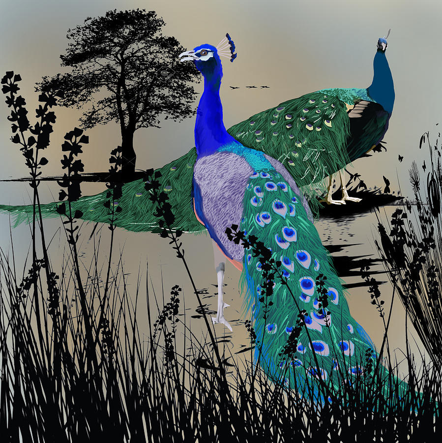 Prideful Peacocks Digital Art by Bless Misra