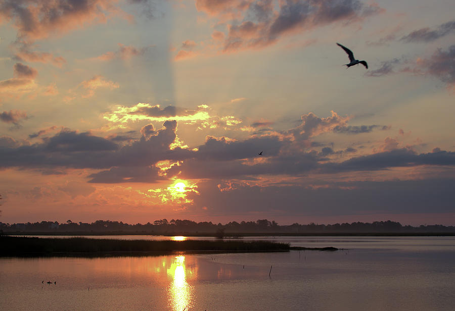 Prime Hook Sunrise 2 by Buddy Scott Prime Hook Sunrise 2 by Buddy Scott