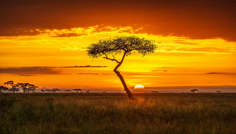Sunset Photograph - Primordial Africa by Jeffrey C. Sink