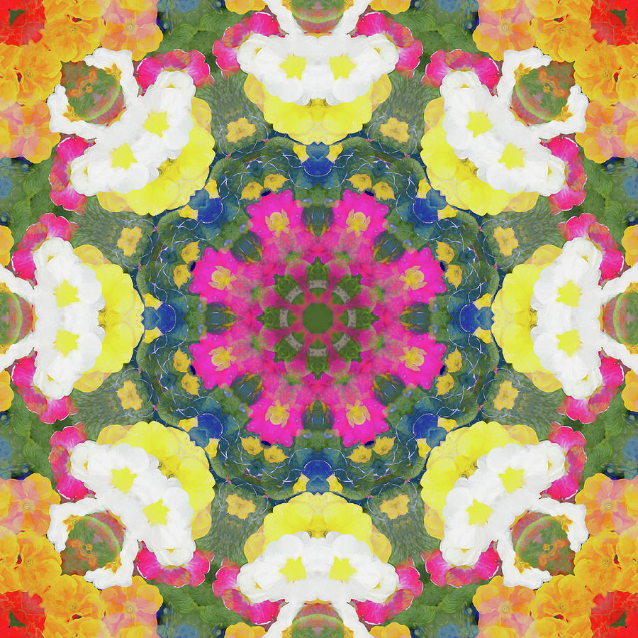  Primrose Flowers Kaleidoscope Digital Art by Roy Pedersen