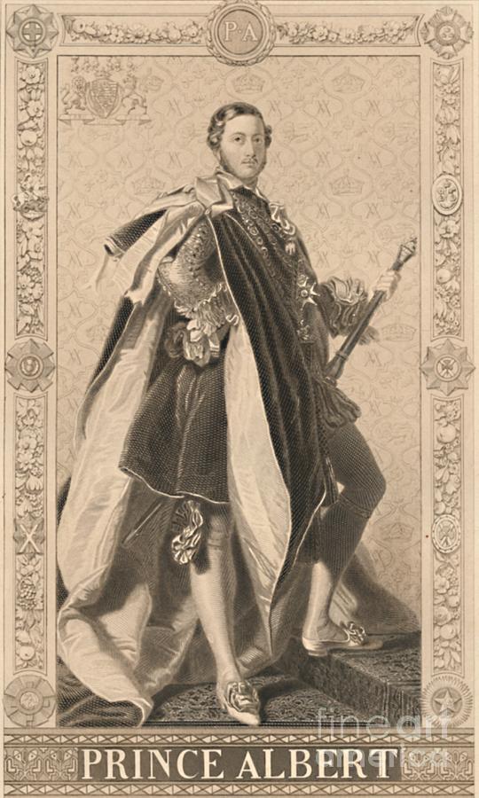 Prince Albert 1886 Drawing by Print Collector