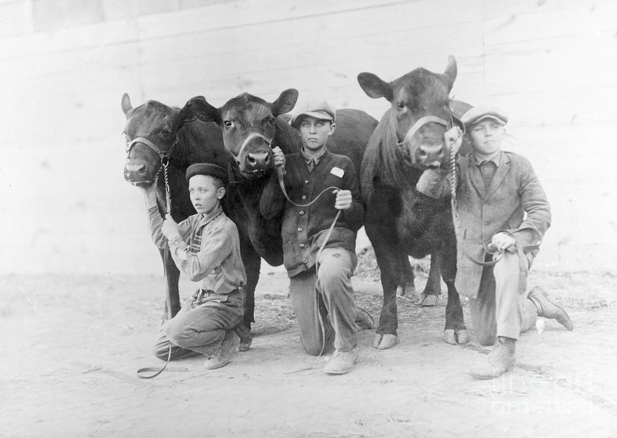 Prince Brothers At Cattle Show Photograph by Bettmann