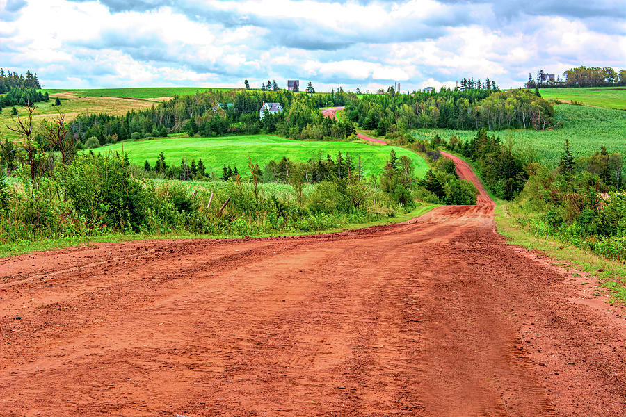 Tilbageholdenhed Mindre R Prince Edward Island Red Dirt Road Photograph by Douglas Wielfaert - Pixels