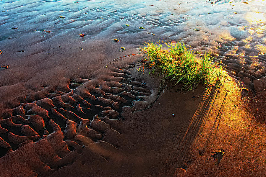 Prince Edward Island Sand Glow Photograph by Douglas Wielfaert