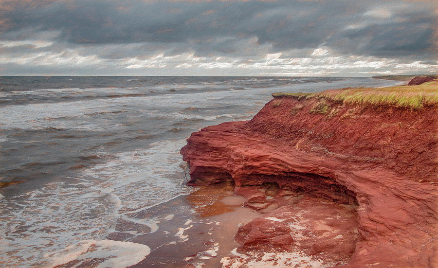 Prince Edward Islands Ravaged and Rugged Shore Photograph by Marcy Wielfaert