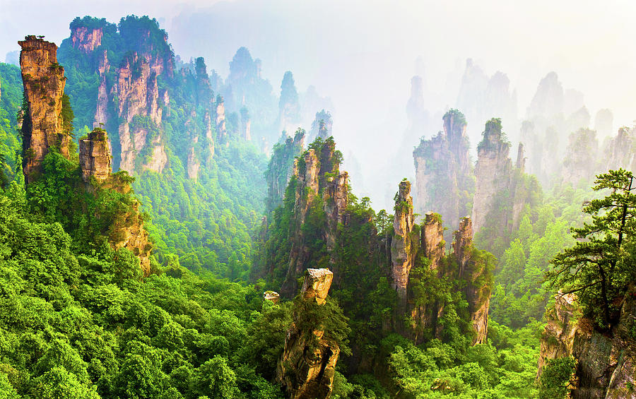 Prince Mountain, Zhangjiajie China Photograph by Feng Wei Photography