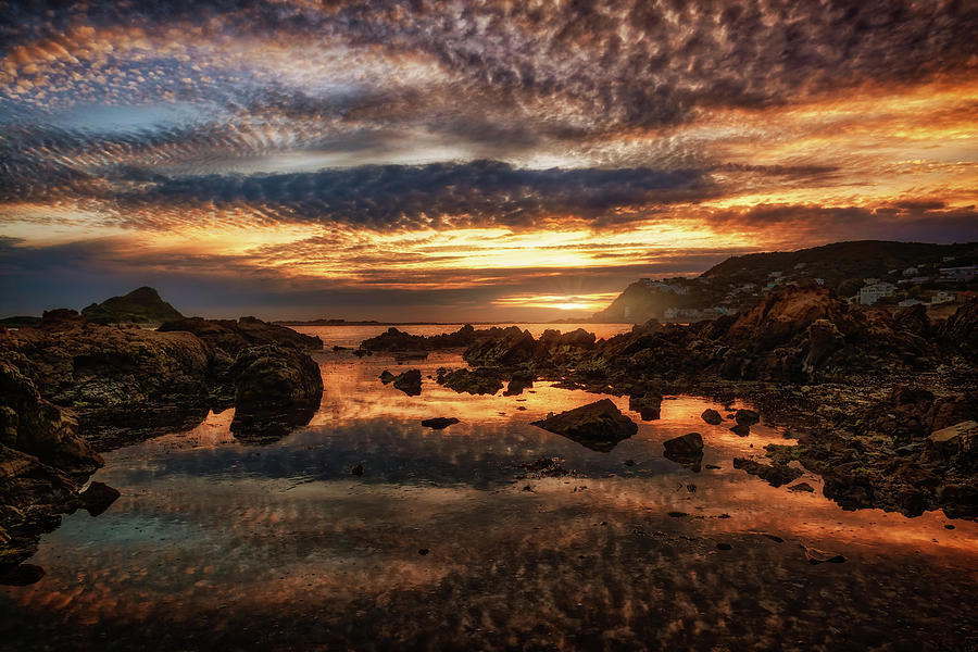 Princess Bay Reflections Photograph by Werner Kaffl