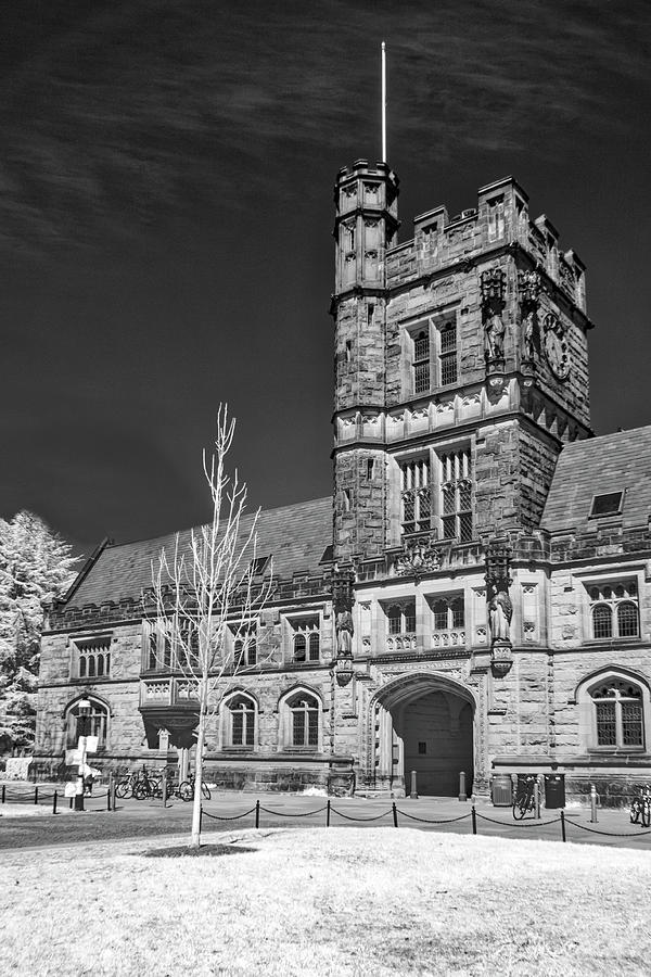 Princeton University Buyers Hall II Photograph by Susan Candelario