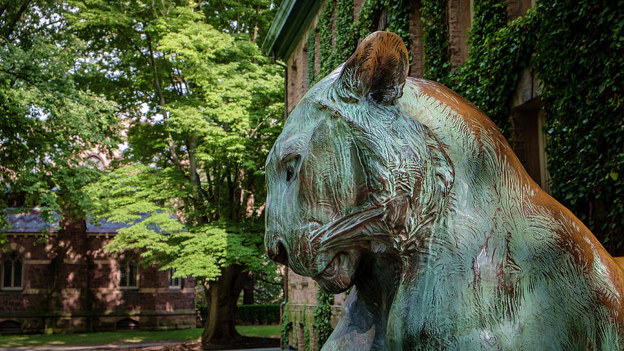 Princeton University Tiger Nassau Hall Photograph by Glenn DiPaola