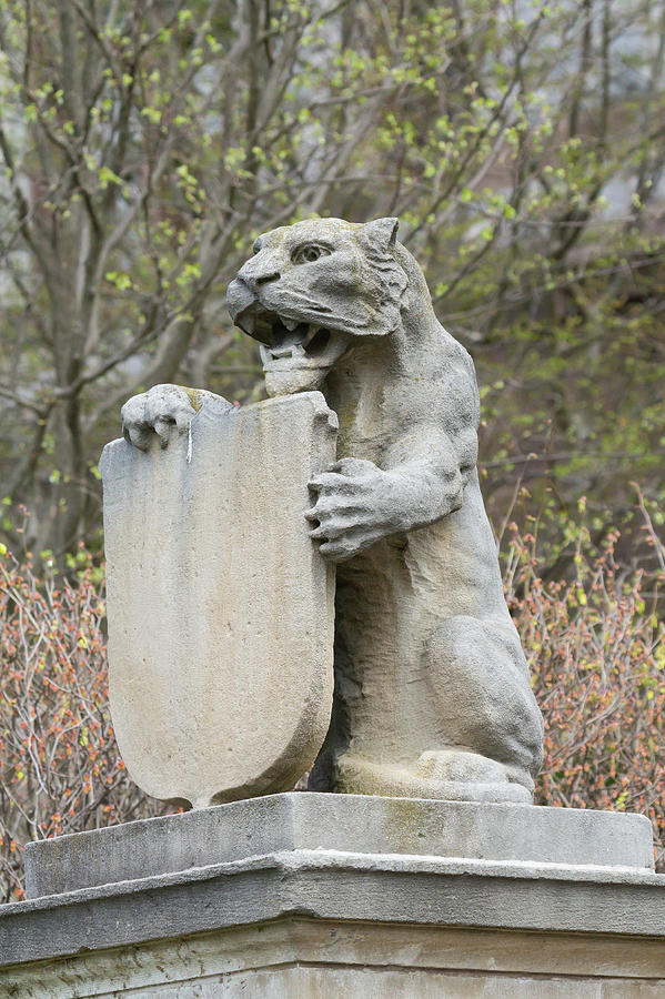 Princeton University Tiger Statue Photograph by Erin Cadigan