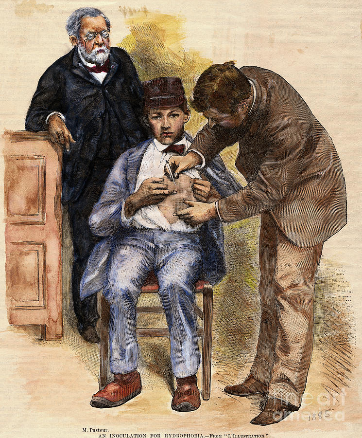 Print Of Pasteur Performing Rabies Photograph by Bettmann