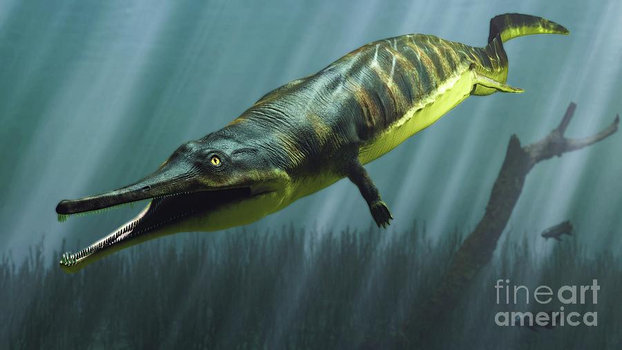 Prehistoric Photograph - Prionosuchus Prehistoric Amphibian by James Kuether/science Photo Library