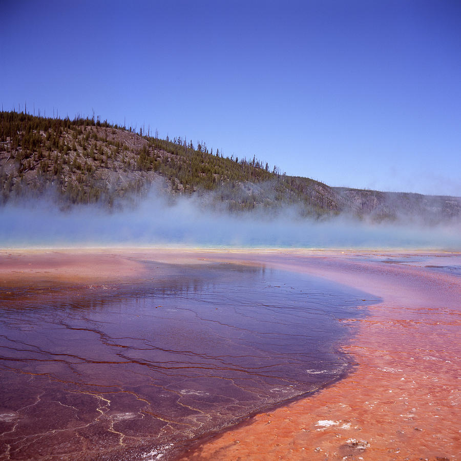 Prismatic Spring Algae Photograph by L. Maile Smith
