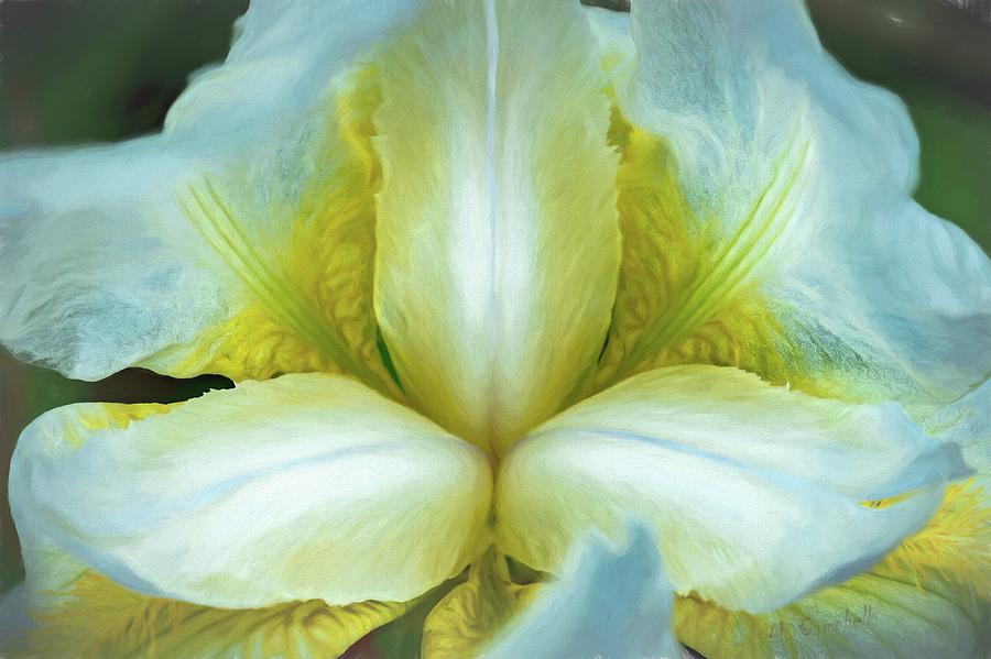 Pristine Petals by Michael Campbell Pristine Petals by Michael Campbell