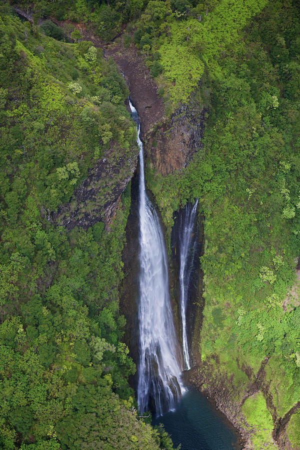 Private Kauai Photograph by Steven Lapkin