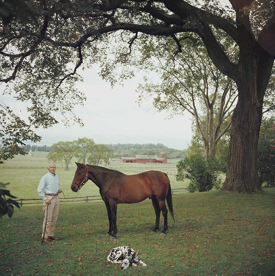 Prize Trotter Photograph by Slim Aarons