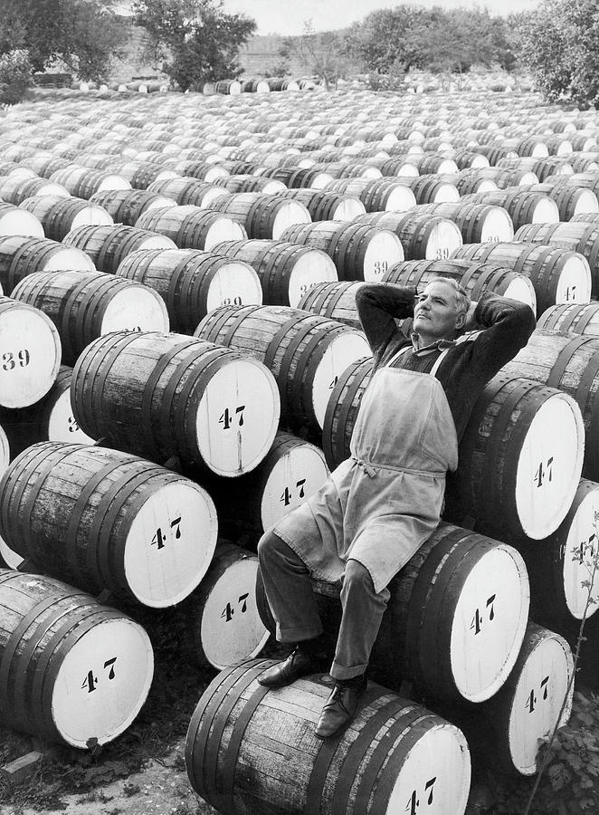 Production Of Sherry In Cyprus In 1959 Photograph by Keystone-france