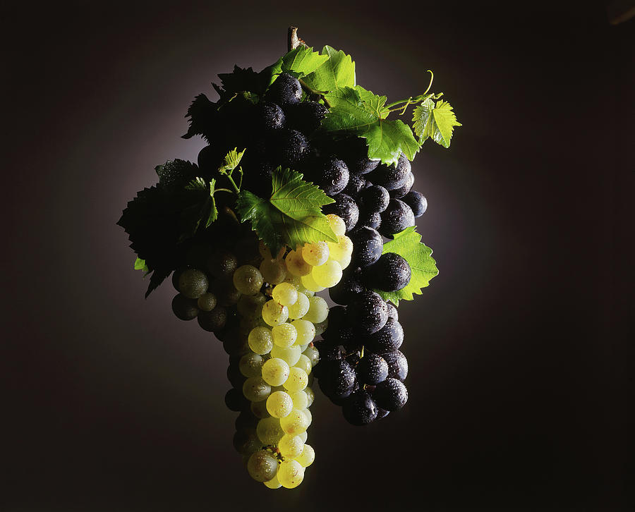Fruit Photograph - Produit Raisin En Grappe Product - Bunches Of Grapes by Hussenot - Photocuisine