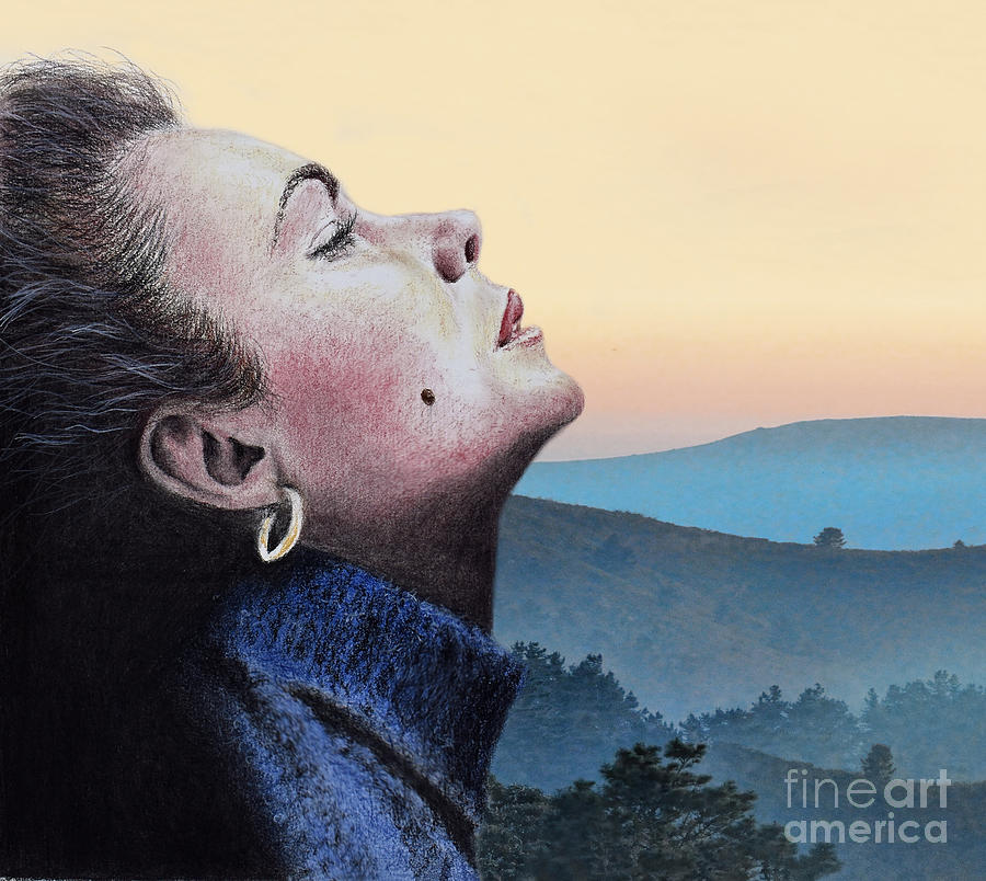Profile Portrait Of Liz Taylor At Sunset Mixed Media by Jim Fitzpatrick