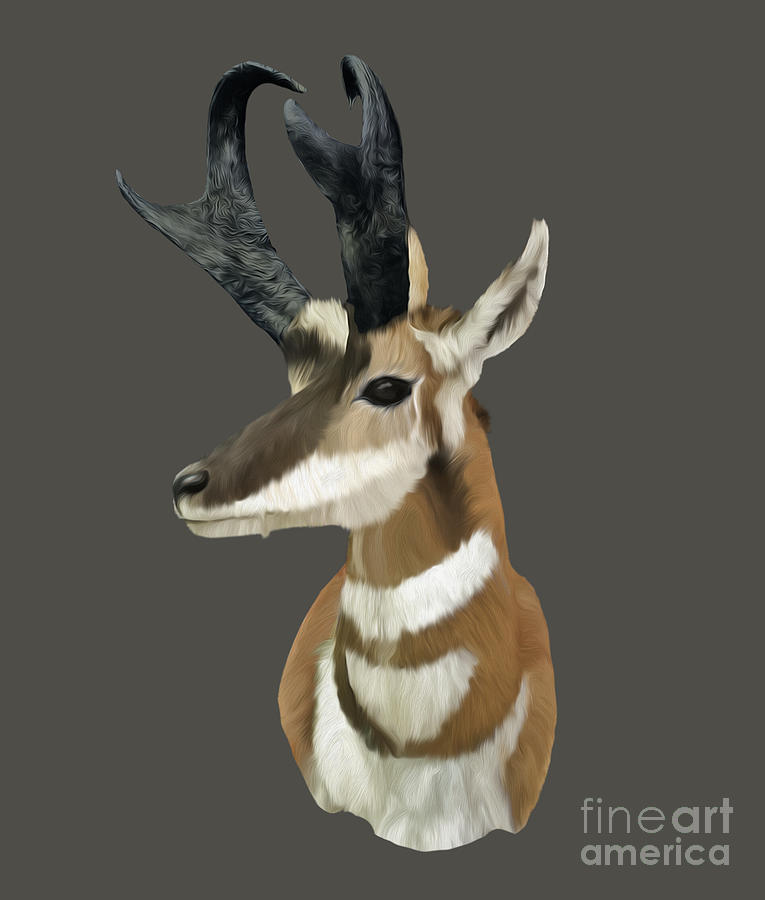 Pronghorn Antelope Digital Art by Walter Colvin