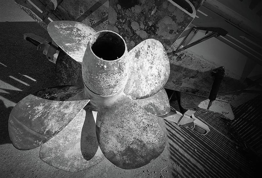 Propeller Sausalito Photograph by John Parulis