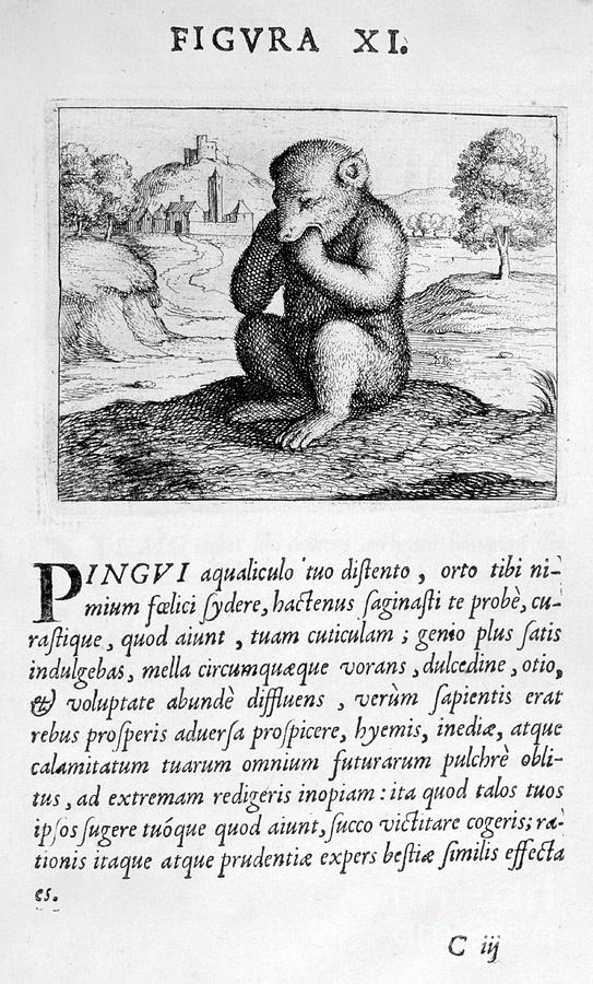 Prophecy Figure Xi From Prognosticatio Drawing by Print Collector