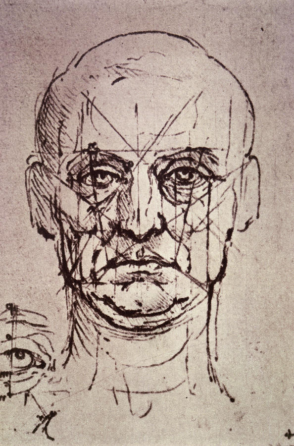 Proportions Of The Face By Leonardo Da Painting by Artist -  Leonardo Da Vinci