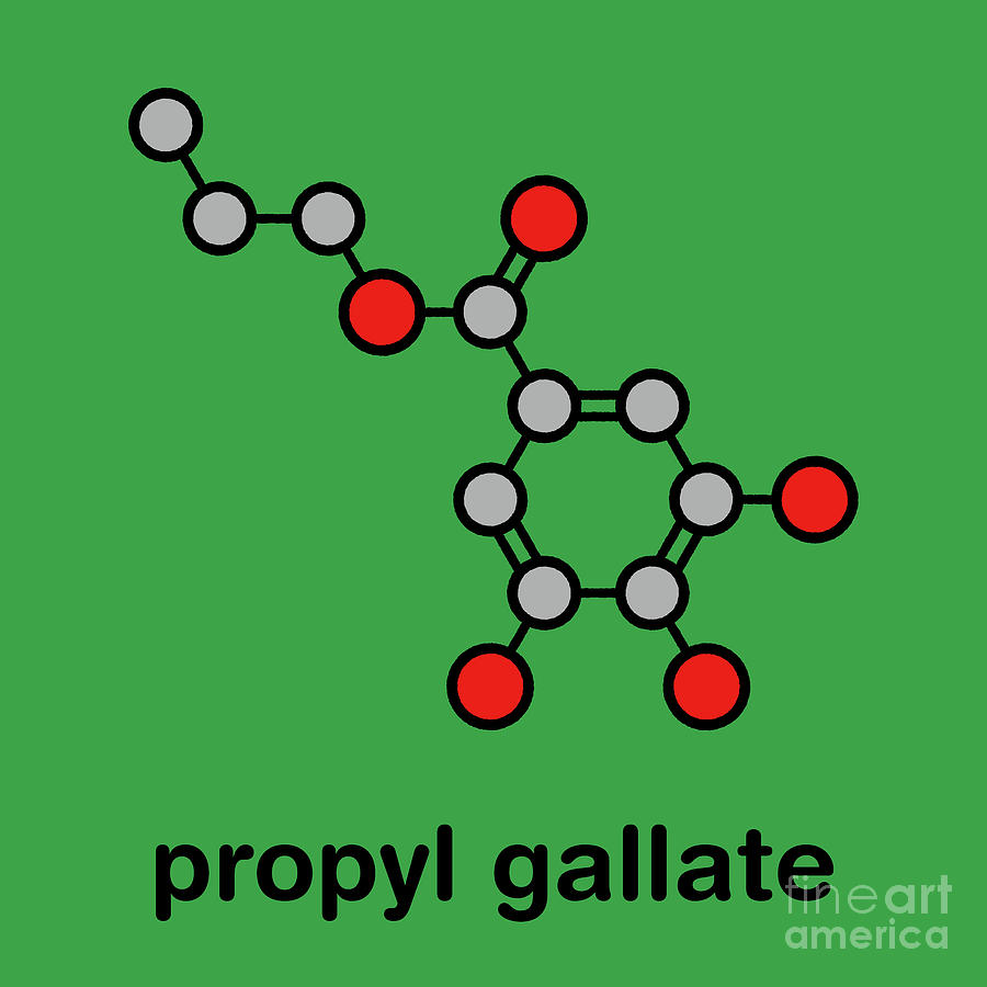 Ring Photograph - Propyl Gallate Antioxidant Food Additive Molecule by Molekuul/science Photo Library