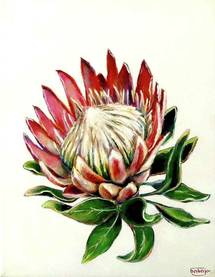 Protea Painting by Nino Mekanarishvili - Fine Art America