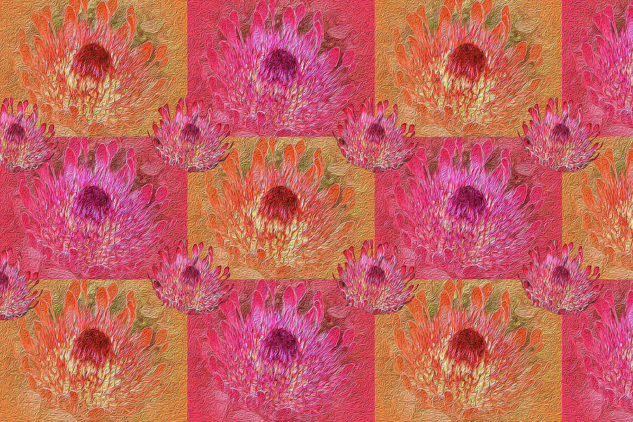 Protea Pattern Photograph by Vanessa Thomas