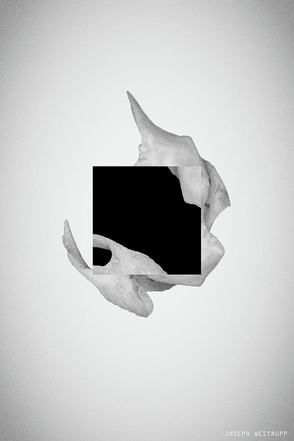 Protean White - Surreal Abstract Tiger Skull Collage by Joseph Westrupp Protean White - Surreal Abstract Tiger Skull Collage by Joseph Westrupp