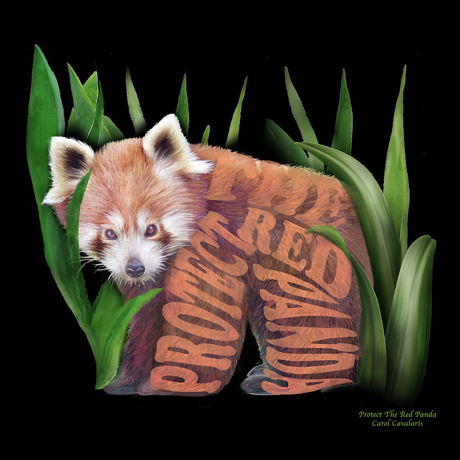 Protect The Red Panda Mixed Media by Carol Cavalaris