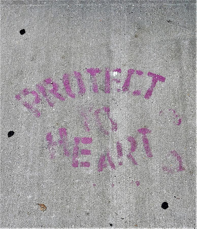 Protect Yo Heart Pink Photograph by Rob Hans