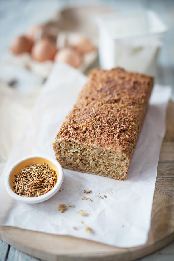Protein Bread With Mealworm Flour, Bran, Quark And Yeast low Carb