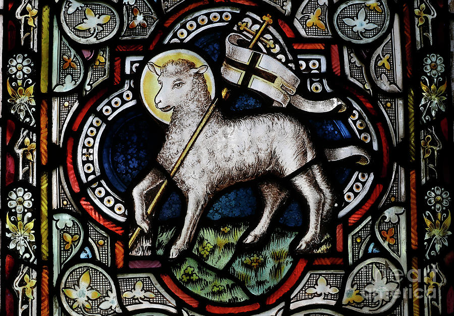Animal Photograph - Protestant Church, Stained Glass Window, Lamb Of God, Agnus Dei, Chamonix, France by 