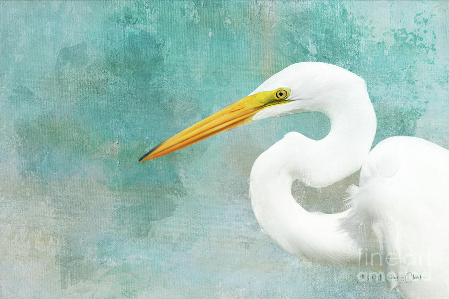 Protrait of a Great Egret by Beve Brown-Clark Photography Protrait of a Great Egret by Beve Brown-Clark Photography