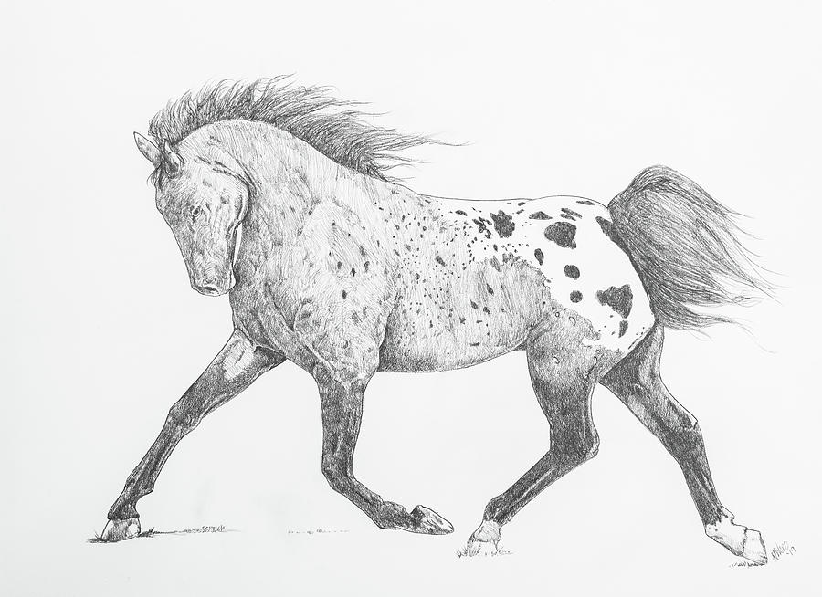 Horse Drawing - Proud Gait by Robert H Ward