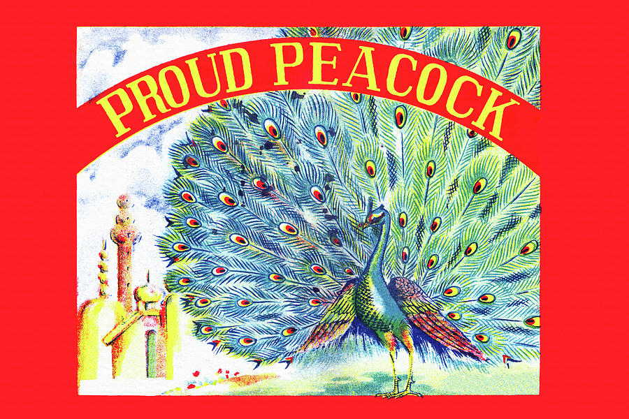 Proud Peacock Painting by Unknown