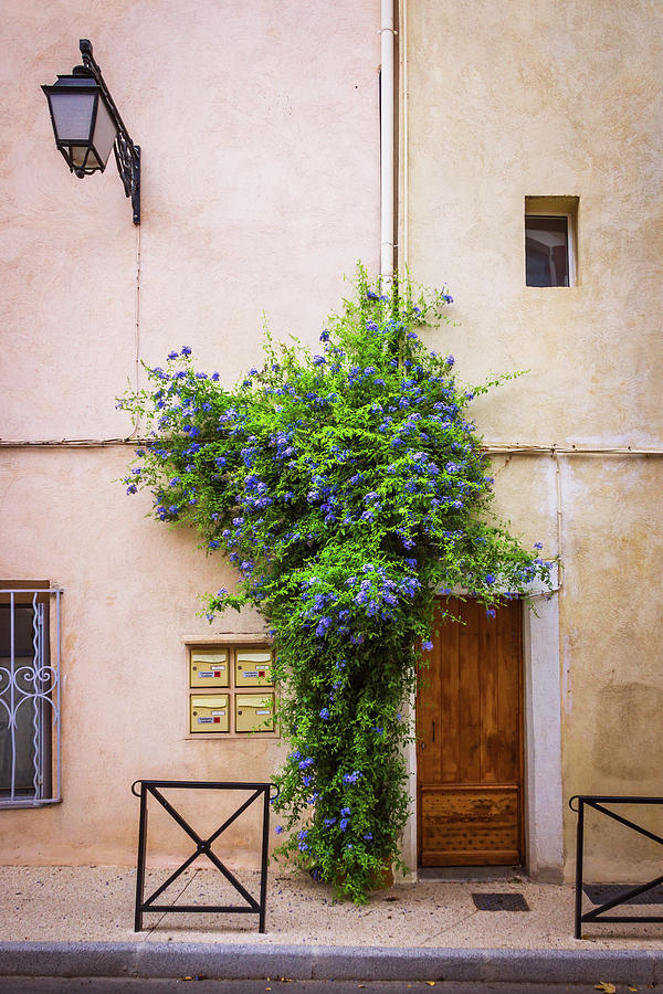 Flower Photograph - Provence Door by Rebekah Zivicki