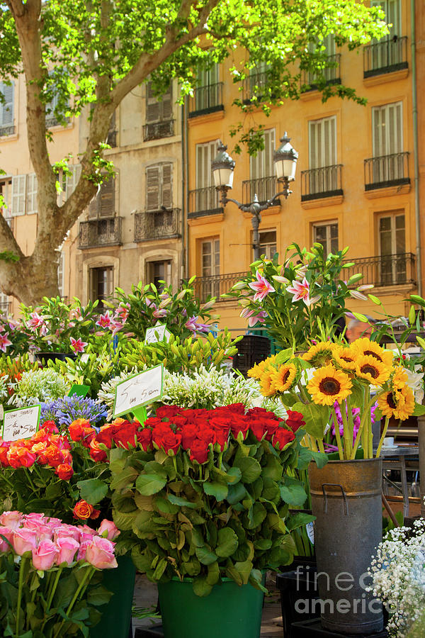 Provence Flower Market by Brian Jannsen Provence Flower Market by Brian Jannsen