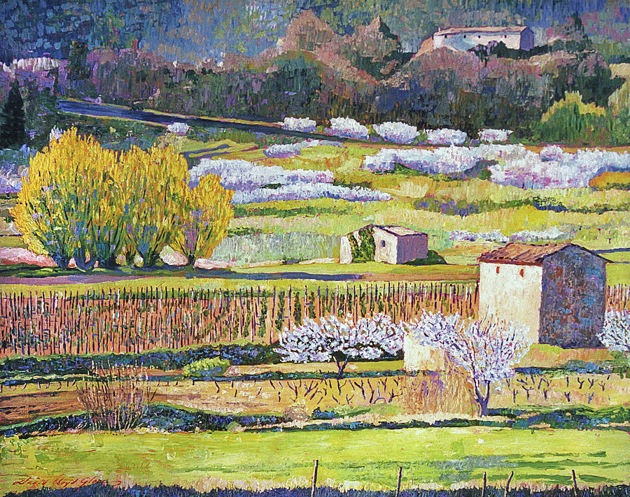 Bordeaux Vineyards In Spring Painting by David Lloyd Glover